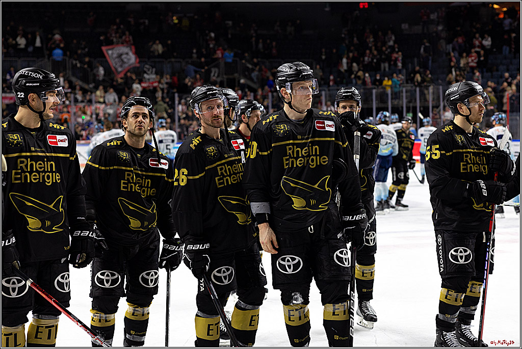PENNY DEL;  Kölner Haie - ERC Ingolstadt; Köln, 25.11.2022